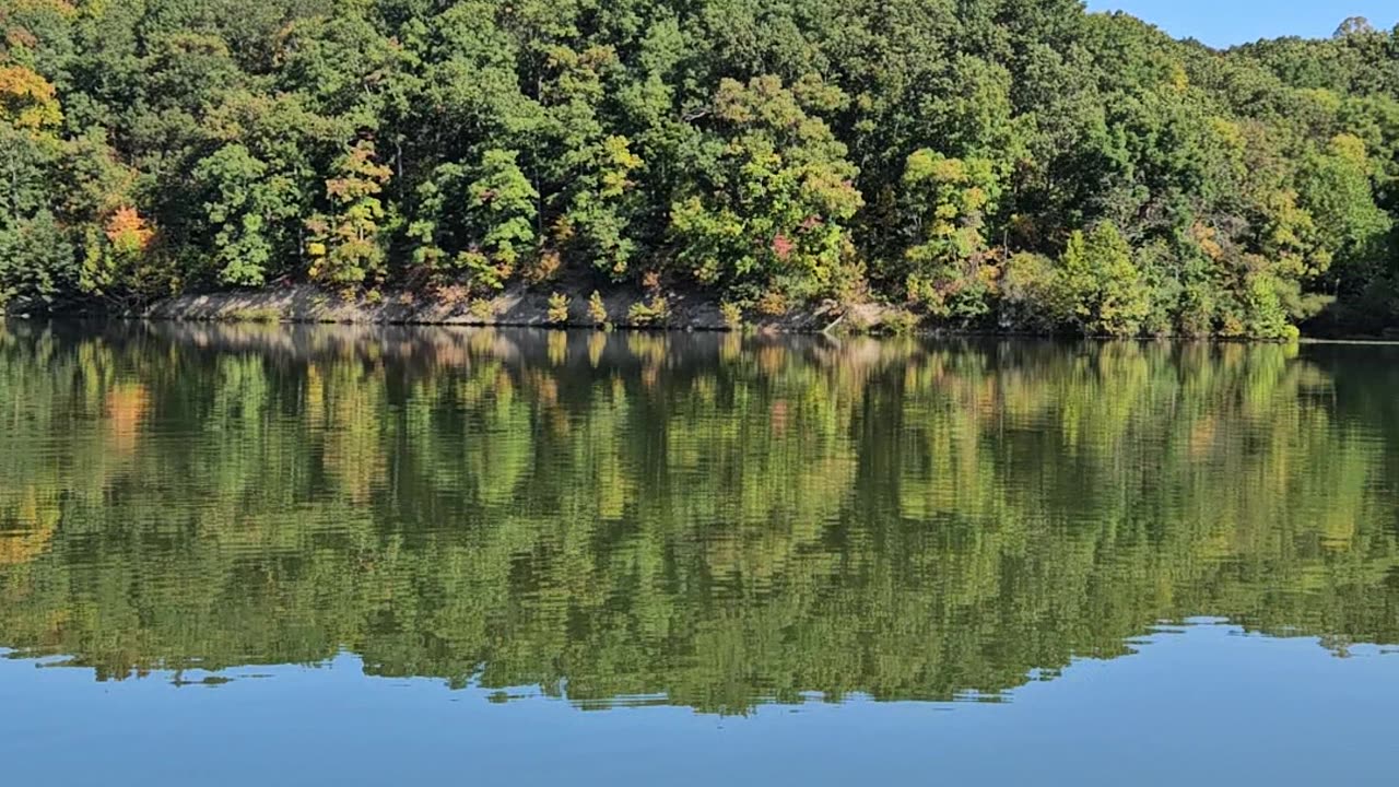 Out enjoying the fall foliage