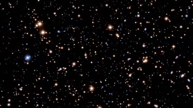 Stars in the night