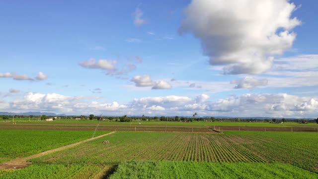 Deep Blue Sky, Beautiful Clouds, Village Nature, Sky, and 4K Timelapse