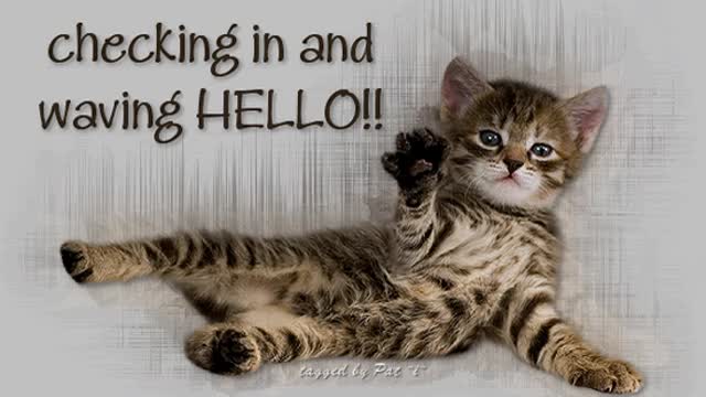 Hello