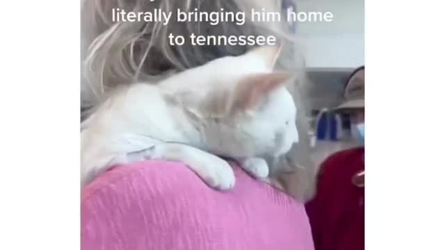 I have a cat at home, too. The hair is black and white