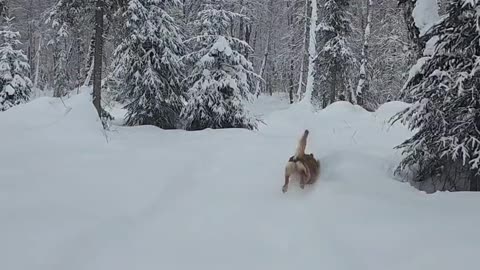 Offgrid Alaska trip to cabin