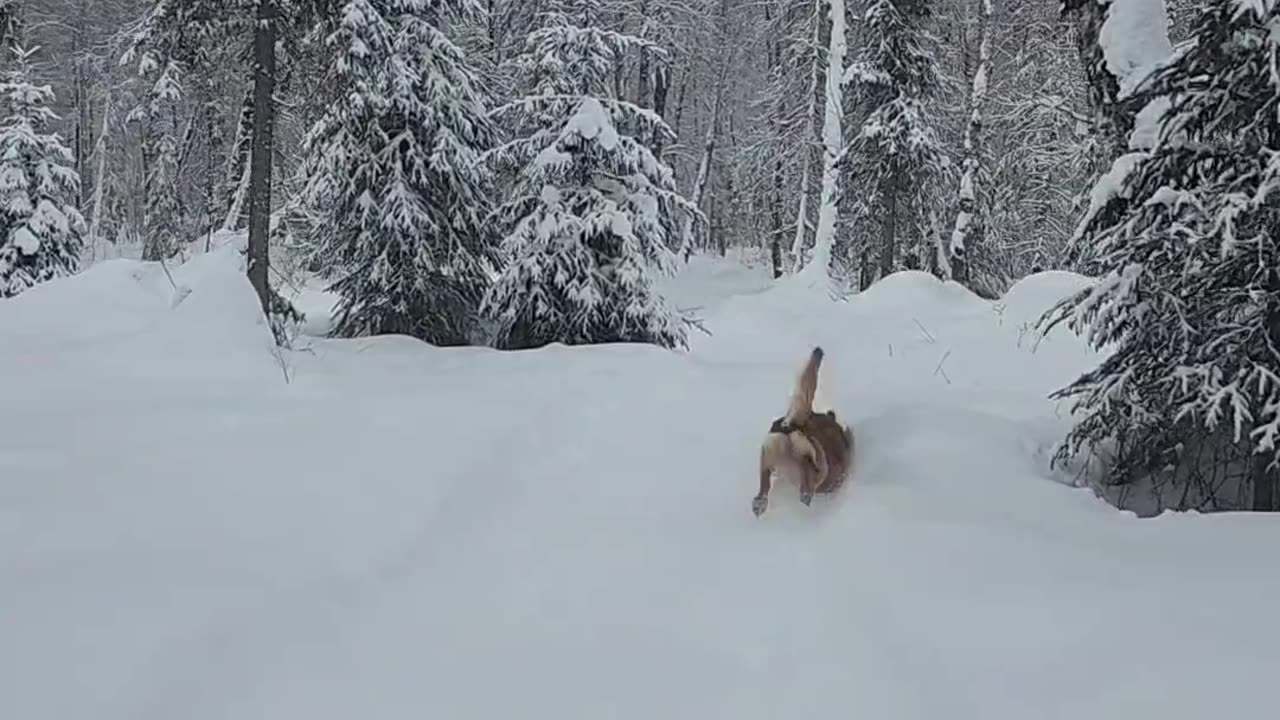 Offgrid Alaska trip to cabin