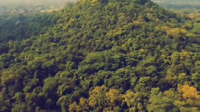 Lion Rock, the symbol of Sri Lanka, a huge stone castle floating in the sky