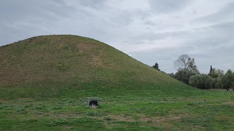 WALKING AMOUNT OLIVES 🫒 OF MARATHON BATTLEFIELD