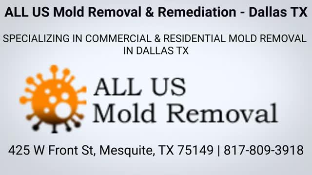 Best Mold Removal Company in Mesquite, TX