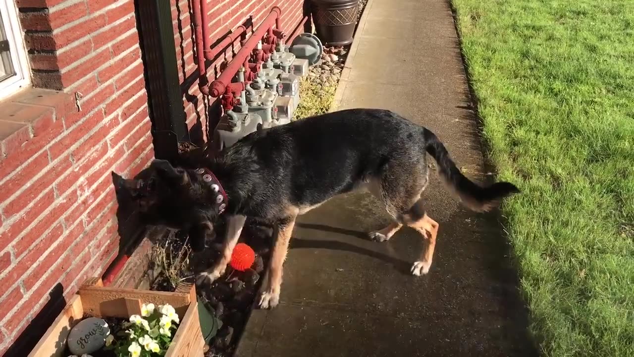 Fiona versus the faucet