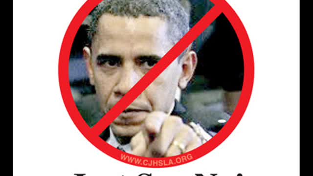 Obama-Mama.