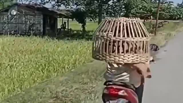 only in Indonesia🤣🤣🤣🤣