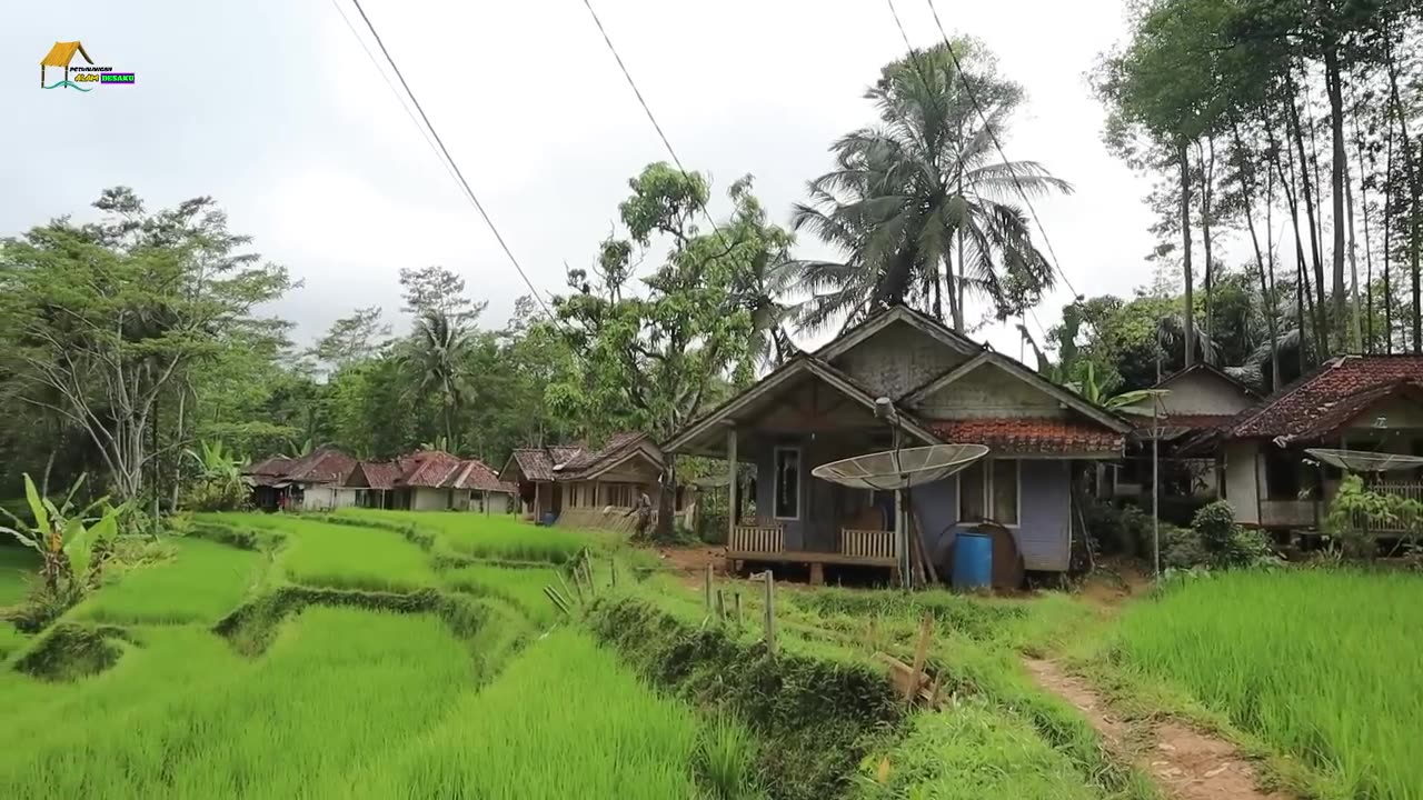 Hijau Asri Sejauh Mata Memandang.