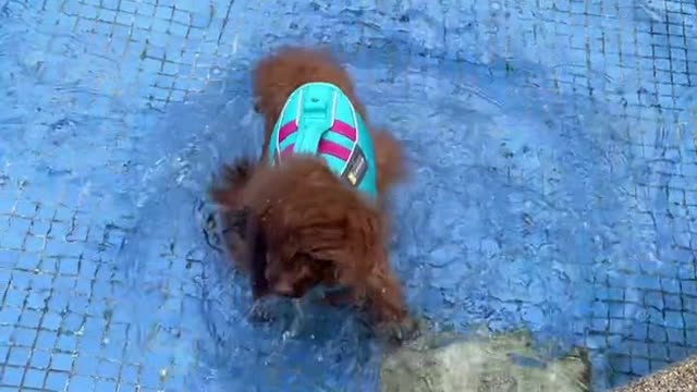 Playing with water is the most basic respect for summer