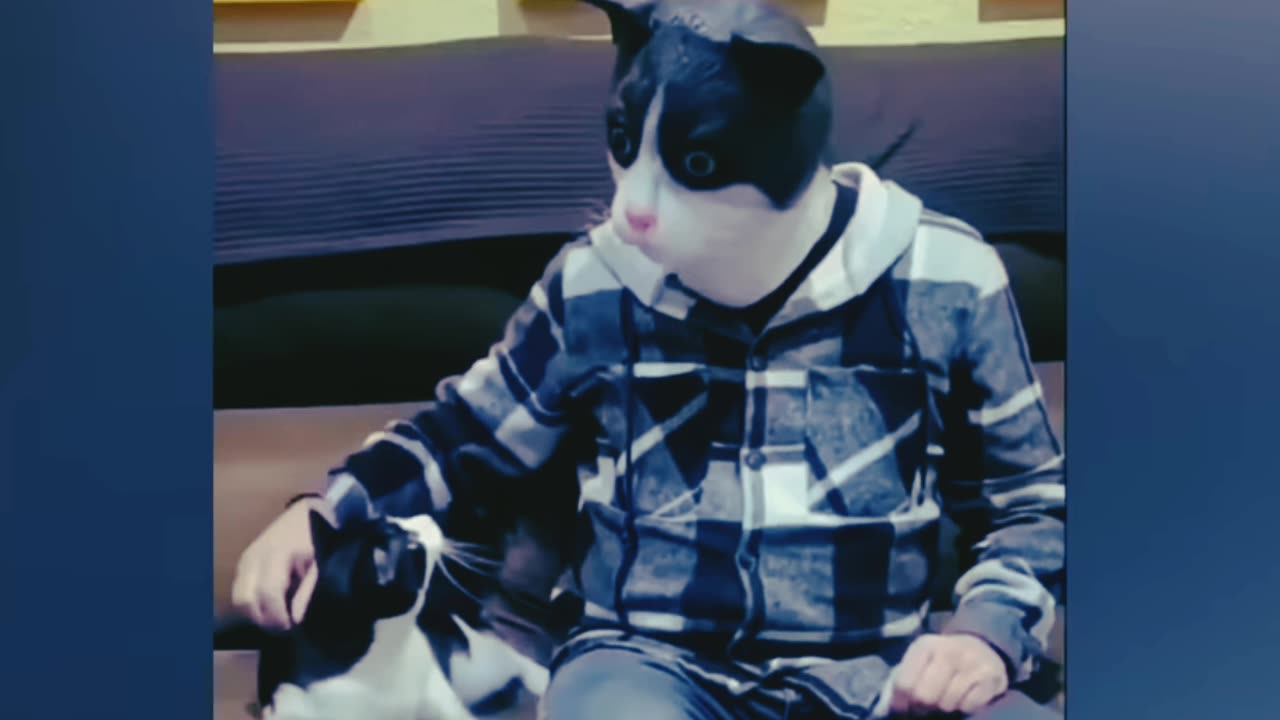 Funny, puppy videos