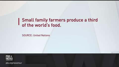 ‘We have reached the end of our rope.’ Why farmers around the world are protesting