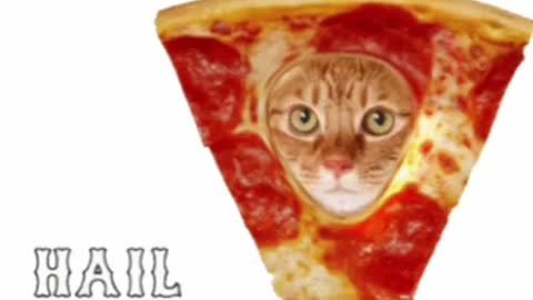Cute Cat Pizza Gif! 🥰💗🐈🍕