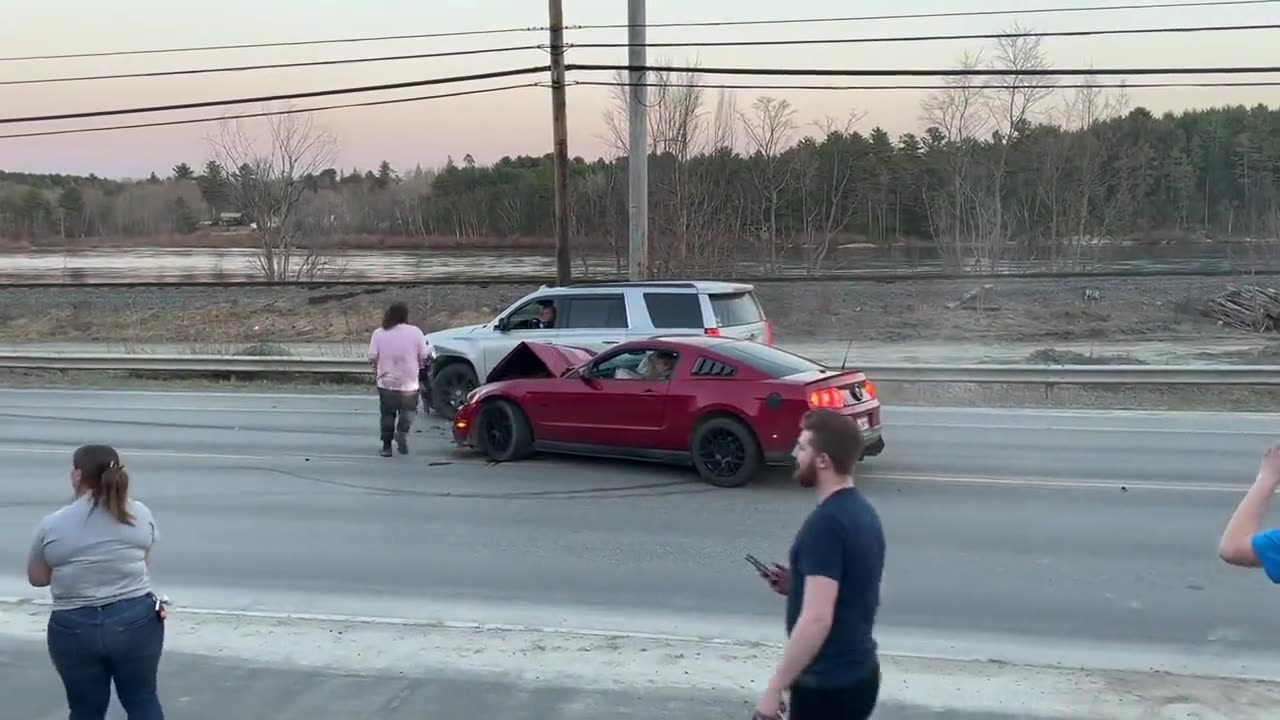 Mustang doing Mustang things