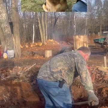 Burying My Beloved German Shephard Willow