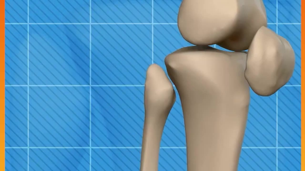 Facts About Bones You Wouldn_t Believe