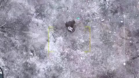 Drone Bomber Attacks Ukrainian Personnel