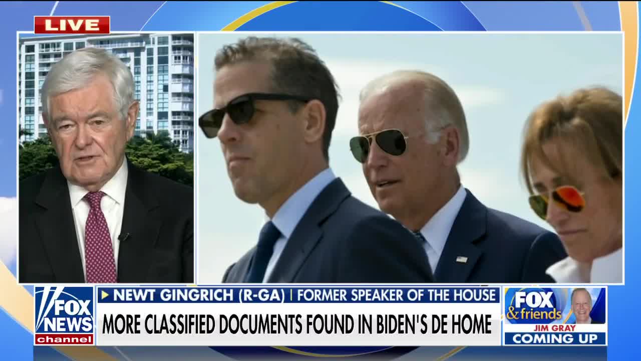 Newt Gingrich: Democrats are 'shaken' by this