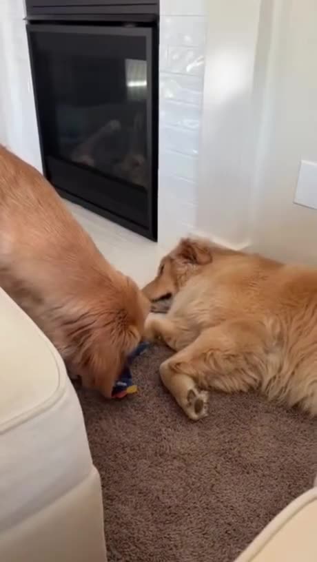 Mission Impossible : Toy Heist