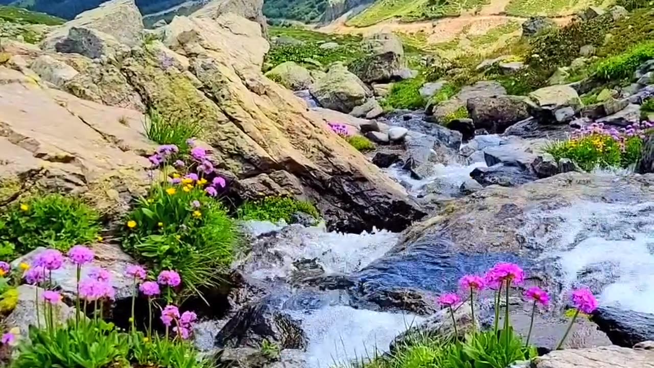 Artvin kaçkar dağlarının ırmakları