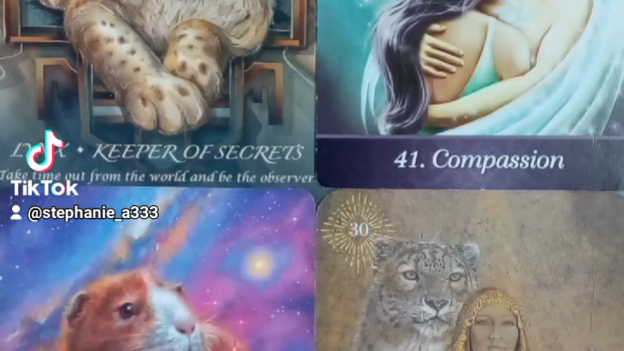12/11/2023 Daily reading