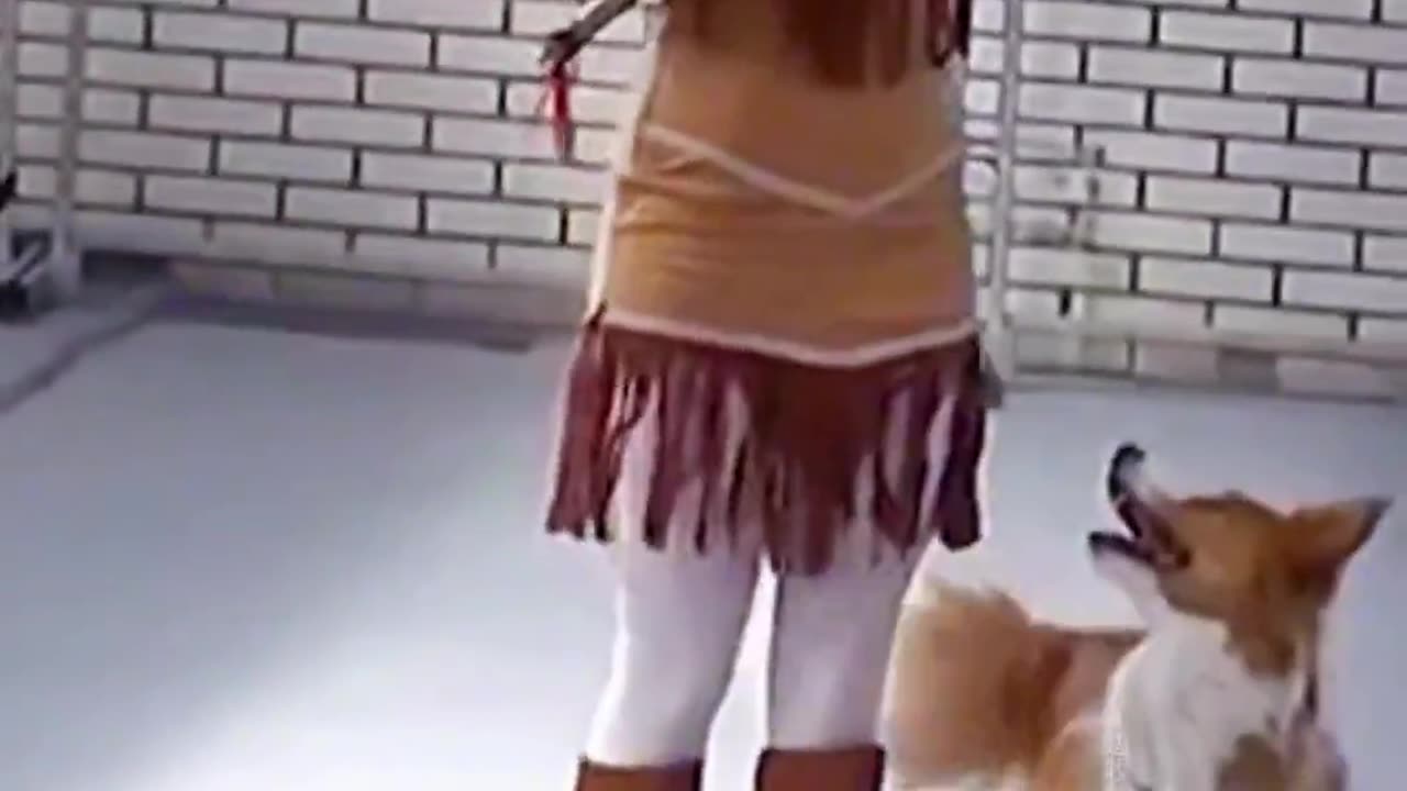 Dog playing with girl