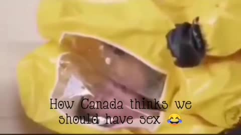How Canada Thinks We Should Have Sex