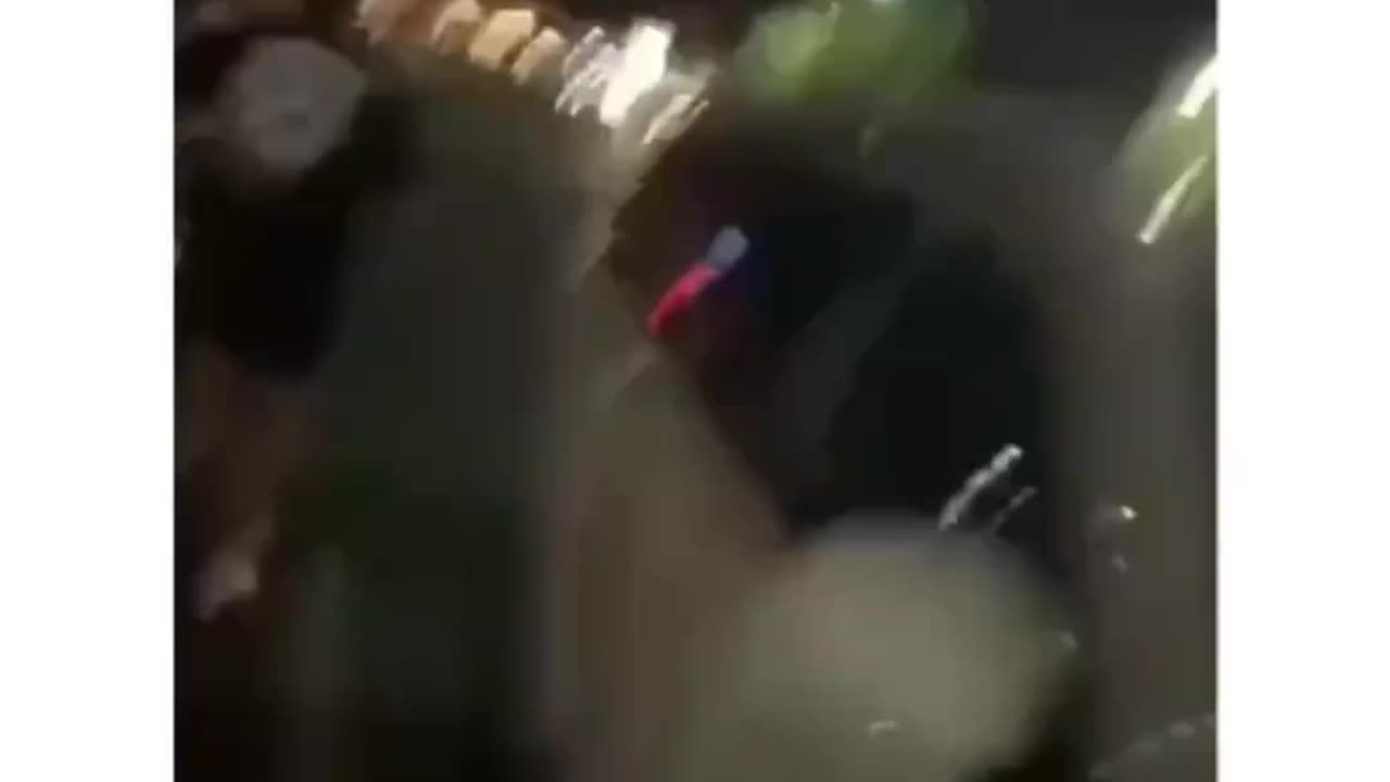 She's 13 | the reaction Time is on point 😅