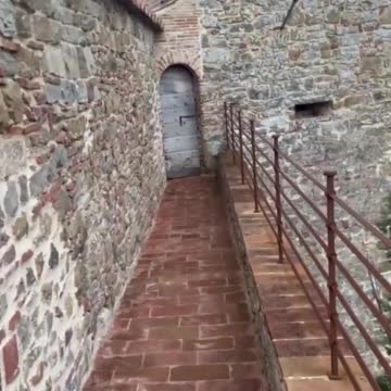 andrew tate say no brokies allowed