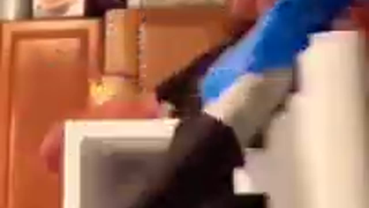Funny video 😁😅😅