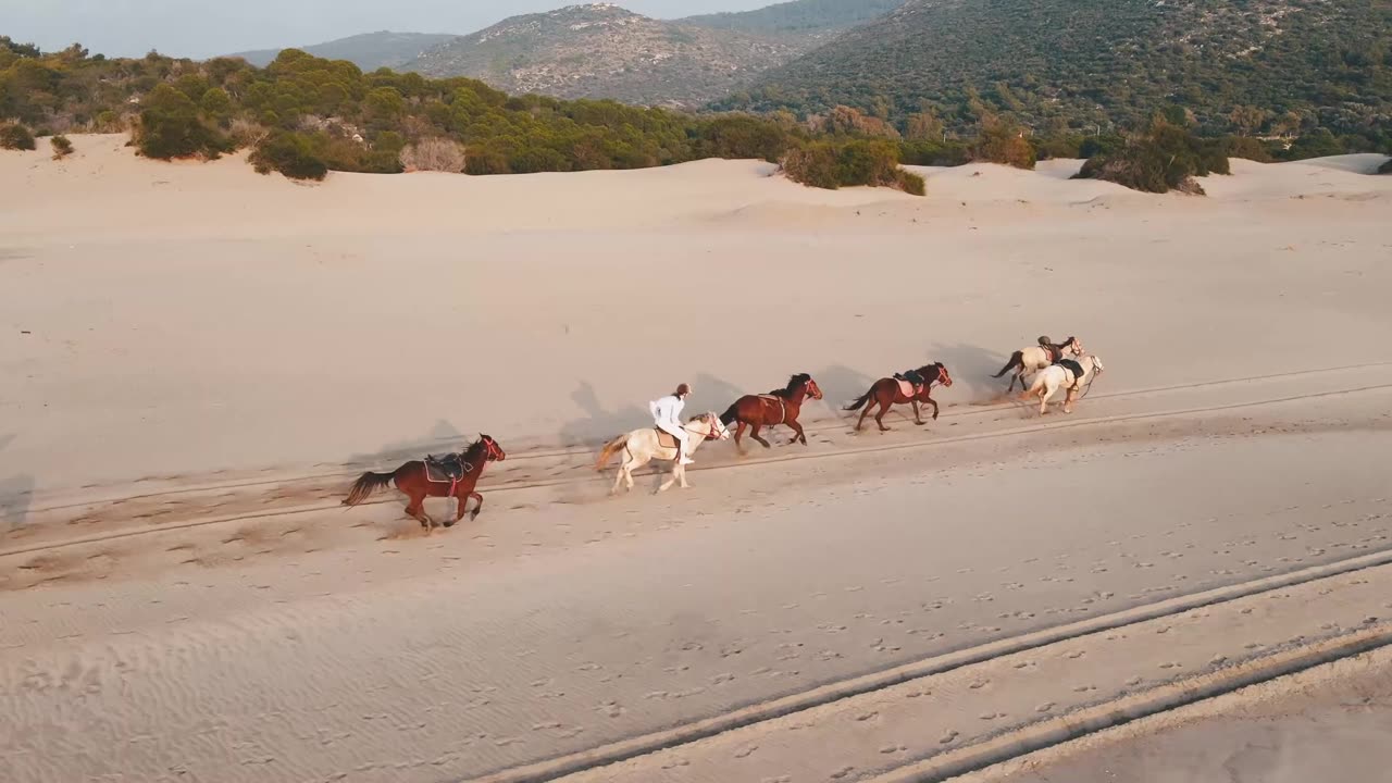 Horse riding on beach side 🏇 | with a beautiful view of Sunset 🌅