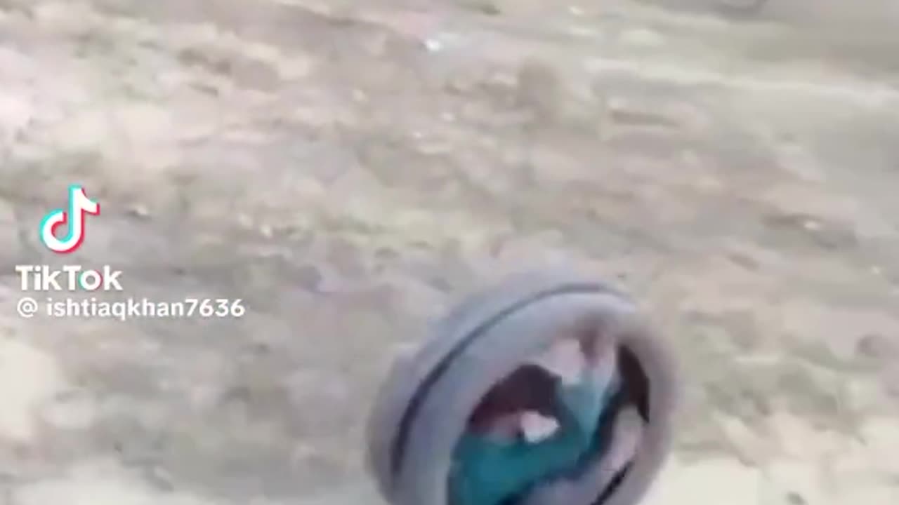 Funny funny videos new
