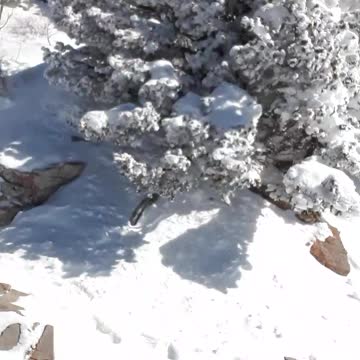 Sandia Mountain on a 12 degree January 26,23 sunny day. Beautiful New Mex