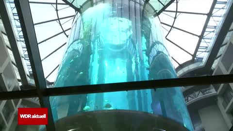 AquaDom Berlin: Riesen Aquarium geplatzt | WDR aktuell