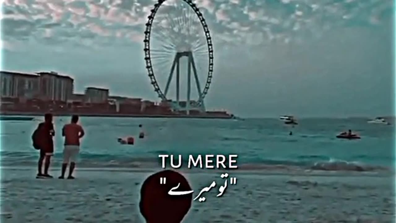 Tere wasty kabhi meraaa sad tones