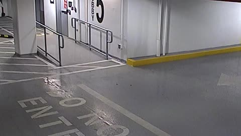 6080RHOBG3G305ANorthLobbyEntry_2021-01-06_02h00min01s193ms.mp4