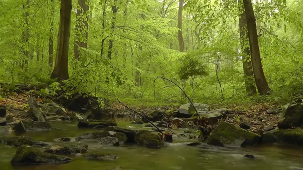 Relaxing Music | Sleeping, Meditation, Stress Relief | [7682] ⭐️