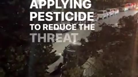 What is going on in New York: via #ToreSays