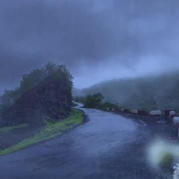 Rain Sound for Sleeping | Rain sound in a forest| thunderstorm sounds