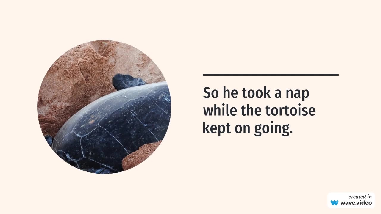 What's story about this hare? #kidsstories #moralstories #englishstory #bedtimestories #english