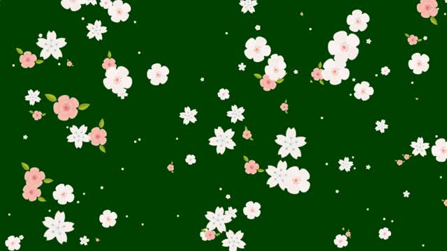 Early spring for blossoms to fly