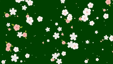 Early spring for blossoms to fly