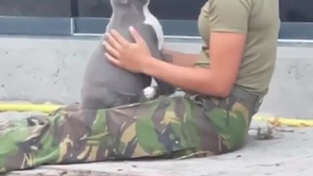 Ukrainian service woman shares a few heartwarming kisses with a sweet little puppy