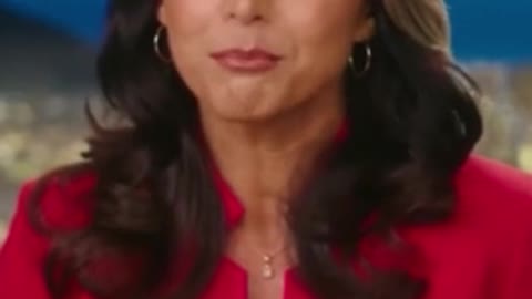 Tulsi Gabbard: FBI, DHS, IRS Are Being Weaponized Against Political Opponents