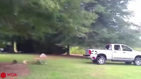 Train Crash Monster Trains Crush Cars on Railroad