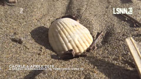 CAORLE 6 APRILE 2019