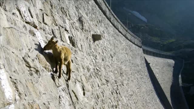 Mind Blowing Moments Caught On Camera !