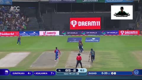 Afghanistan vs Srilanka cricket match highlights