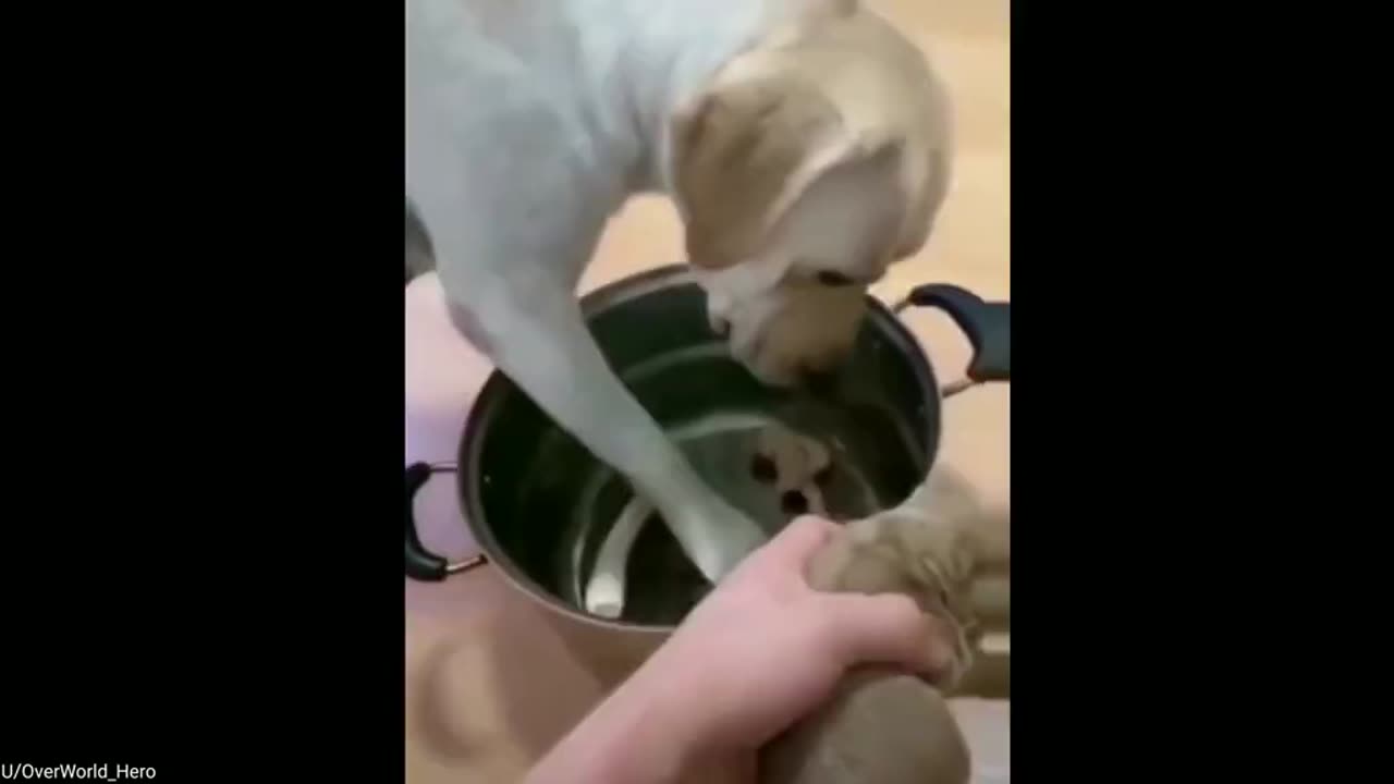 Take Me Instead